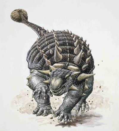 Illustration d'un ankylosaure qui fonce vers nous, la queue en massue relevée.